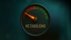 O que ninguém te contou sobre o seu metabolismo
